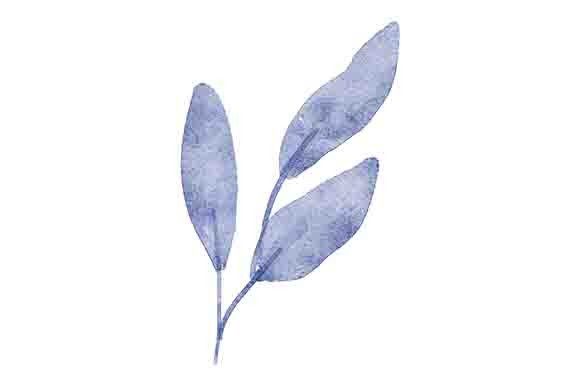Download Leaf Foliage Watercolor Painting Element - Leaf foliage Collection