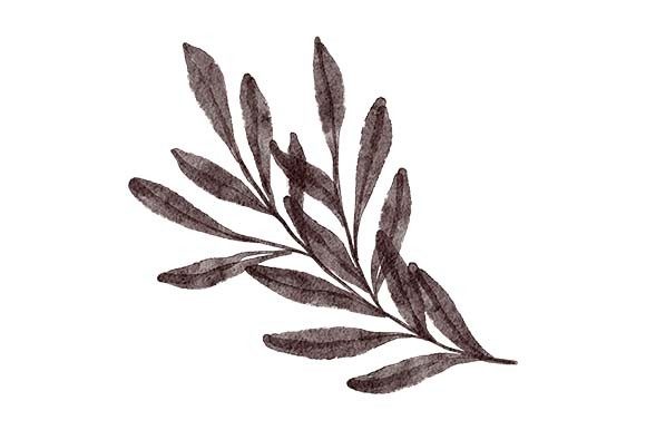 Download Hand Painted Greenery Leaf Foliage - Leaf foliage Collection