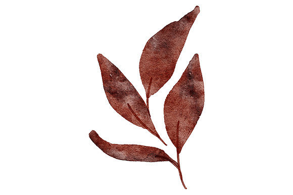 Download Watercolor Read Leaf Foliage Element - Leaf foliage Collection