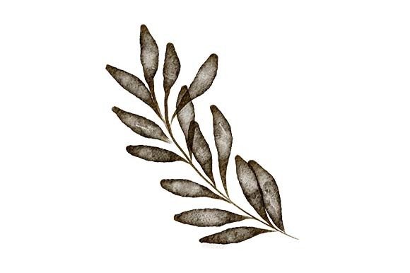 Download Watercolor Leaf Foliage Paint Element - Leaf foliage Collection