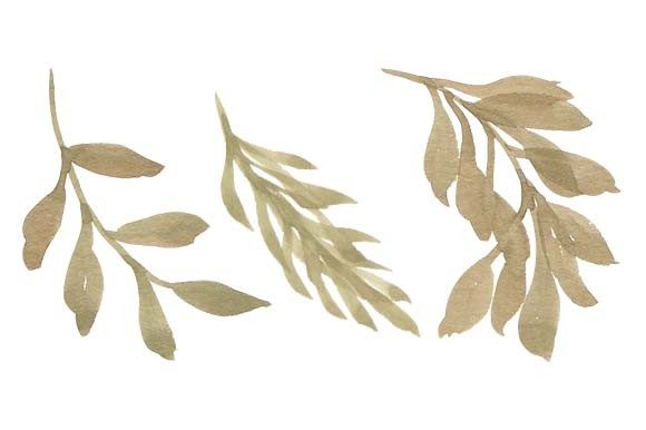 Download Watercolor Leaf Foliage Paint Set - Leaf foliage Collection