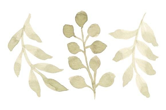 Download Watercolor Green Leaf Foliage Set Paint - Leaf foliage Collection